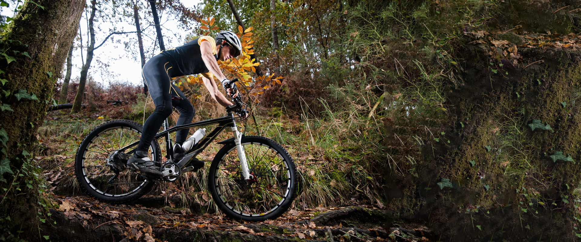 collection-banner-image